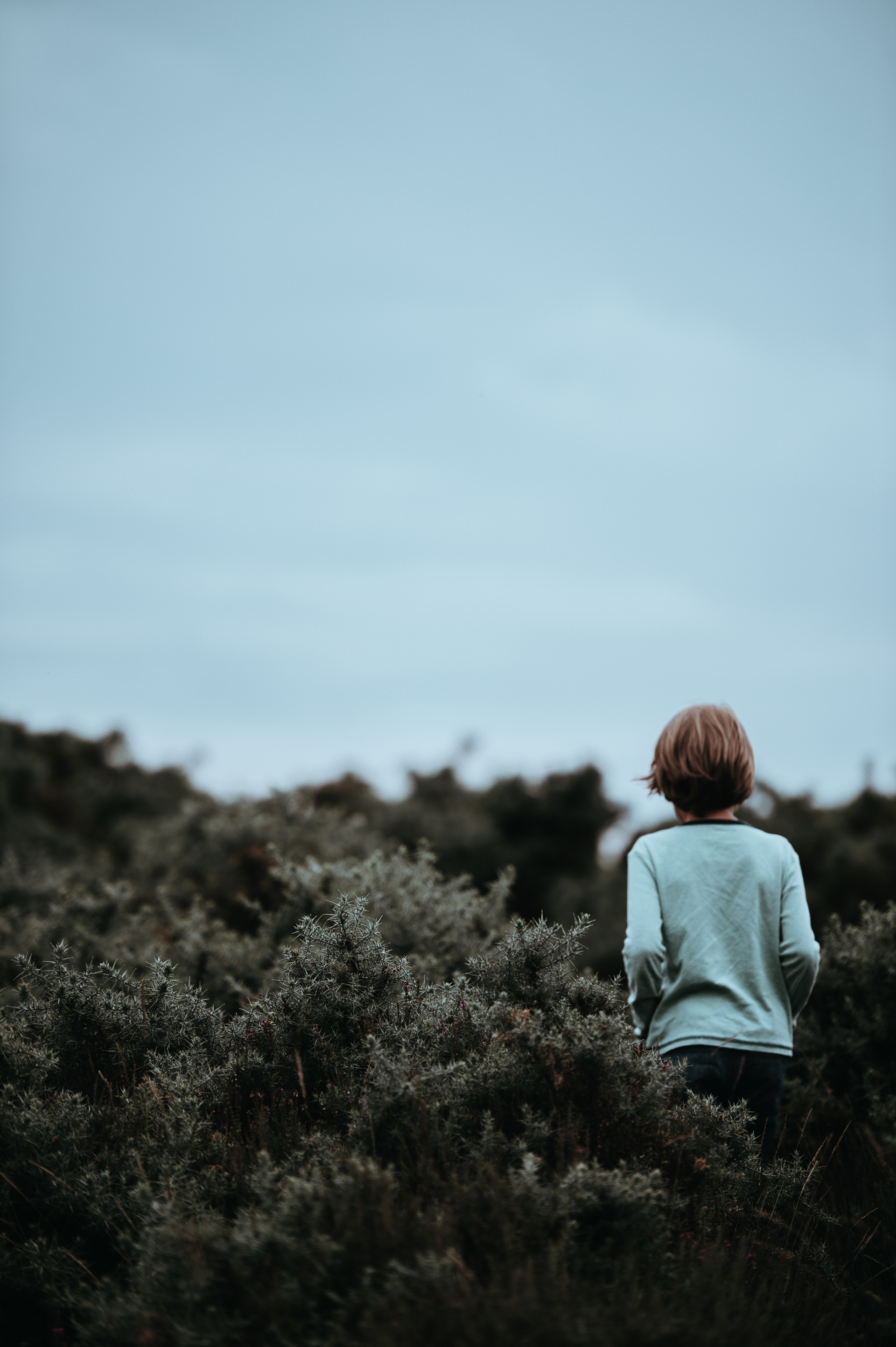 annie-spratt-365628-unsplash.jpg annie-spratt-365628-unsplash.jpg